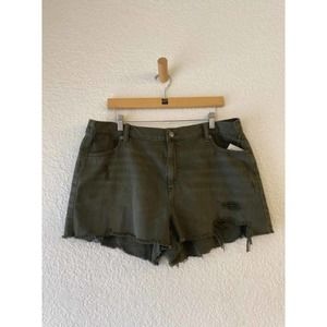 Aerie Shorts Green Size XL